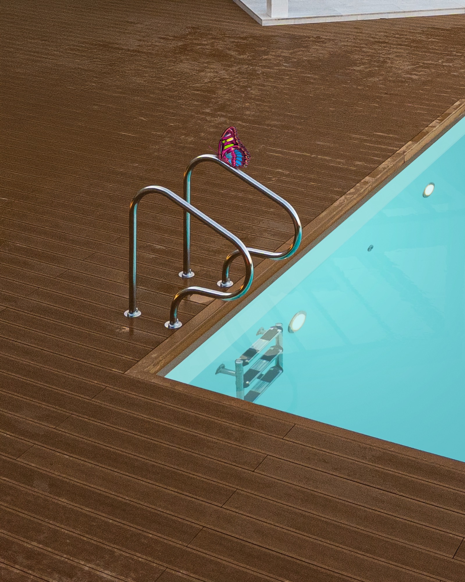 Una farfalla posata sul corrimano della scaletta di una piscina